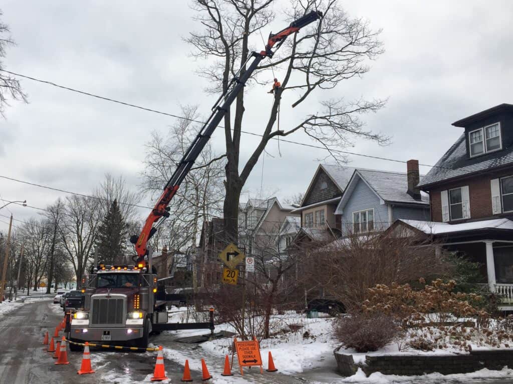 Using a knuckle crane to assist is safely bringing tree branches down to the ground